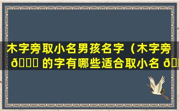 木字旁取小名男孩名字（木字旁 🐝 的字有哪些适合取小名 🌷 男孩）